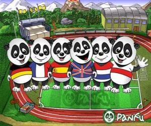 Several Panfu panda T-shirts of some national teams puzzle