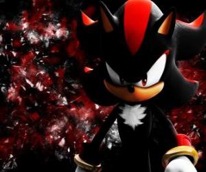 Shadow is a hedgehog like Sonic, and his rival puzzle