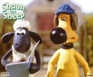 Shaun and Bitzer puzzle