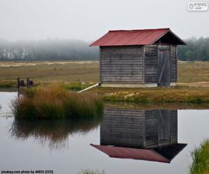 Shed puzzle