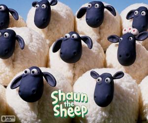 Sheep of the flock of Shaun puzzle