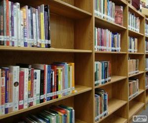 Shelving. Bookcase puzzle