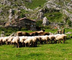 Shepherd tending his flock puzzle