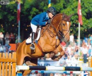 Show jumping. The rider and the horse in a jump puzzle