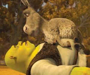 Shrek and Donkey, staring at puzzle