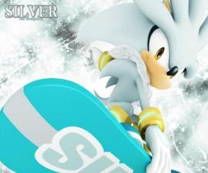 Silver the Hedgehog, the hedgehog that comes from the future puzzle