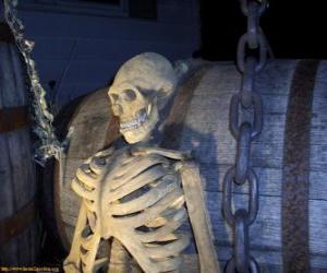 Skeleton on Halloween night puzzle