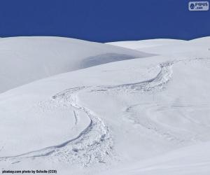 Ski traces in the snow puzzle
