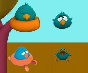 Sleepy Bird is a very sleepy and cranky bird puzzle