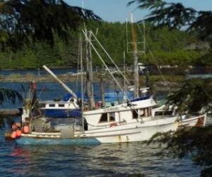 Small boat fishermen puzzle