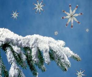 snow-covered fir branch puzzle