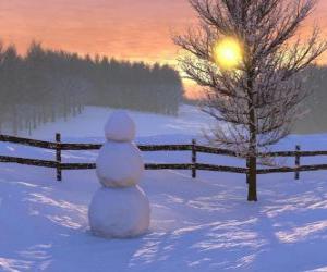 Snowman in the landscape puzzle