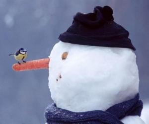 Snowman with a bird on his nose puzzle