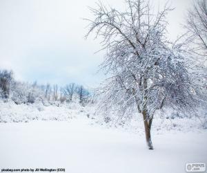 Snowy tree puzzle