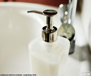 Soap dispenser puzzle