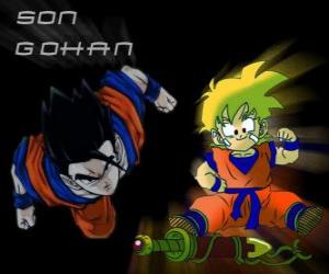 Son Gohan, Goku's eldest son, warrior, half human and half Saiyan. puzzle