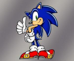 Sonic the Hedgehog, the main protagonist of the Sonic videogames from Sega puzzle