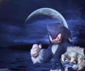 Sonic the Werehog, the latest Sonic transformation, by night it transforms into a wolf hedgehog puzzle