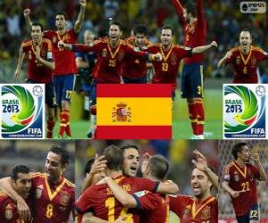 Spain 2013 FIFA Confederations Cup puzzle