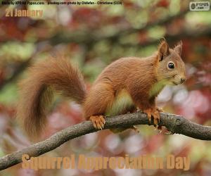 Squirrel Appreciation Day puzzle