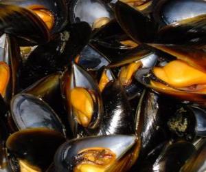 Steamed Mussels puzzle
