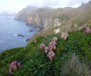 Subantarctic islands, comprising the islands of the Snares, Bounty, Antipodes, Auckland and Campbell, located in the Southern Ocean, southeast of New Zealand. puzzle