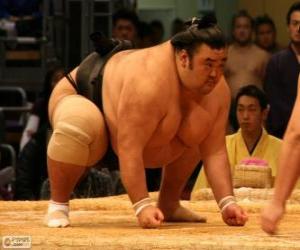 Sumo wrestler ready for combat puzzle