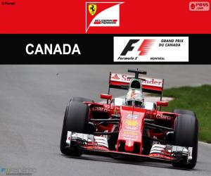 S.Vettel, 2016 Canadian Grand Prix puzzle