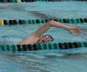 Swimmer practicing freestyle in the lane of a competition pool puzzle