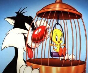 Sylvester and Tweety Bird puzzle