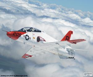 T-45A Goshawk puzzle