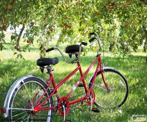 Tandem of two cyclists puzzle