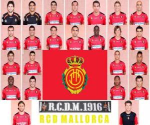 Team of RCD Mallorca 2010-11 puzzle