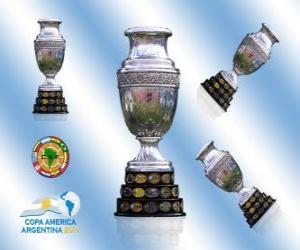 The 2011 Copa América trophy puzzle