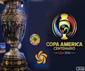 The 2016 Copa América Centenario trophy puzzle