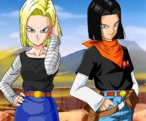 The androids cyborgs A-17 and A-18 created by Dr. Gero to defeat Son Goku puzzle
