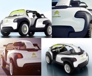 The Citroen Lacoste puzzle