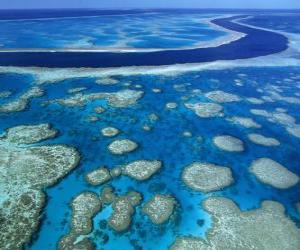 The Great Barrier Reef, coral reefs throughout the world largest. Australia. puzzle