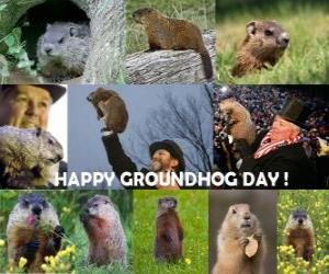 The Groundhog Day puzzle