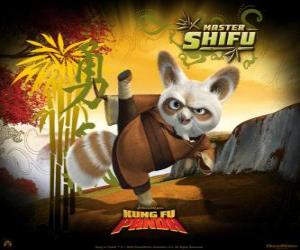 The Kung Fu master Shifu trains the best fighters of Kung Fu in China puzzle