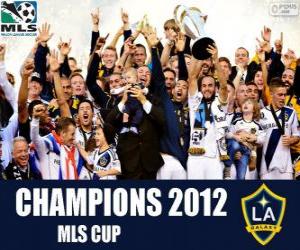 The Los Angeles Galaxy, MLS Cup 2012 champion puzzle