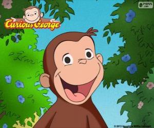 The monkey George puzzle