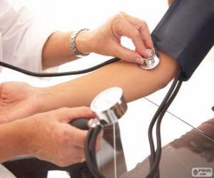 The nurse taking blood pressure to a patient puzzle