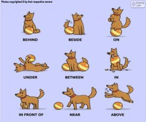 The prepositions of the place puzzle