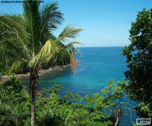 The sea from a tropical island puzzle