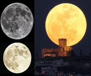 The splendor of the super Moon (March 19, 2011) puzzle