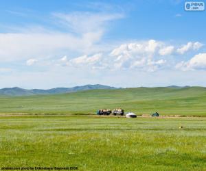 The steppe of Mongolia puzzle