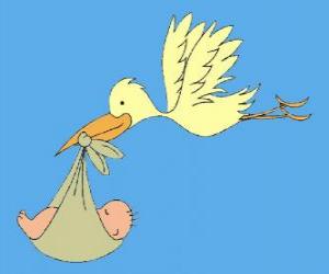 The stork carrying a baby. The stork and the baby puzzle