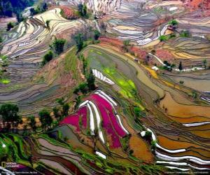 The terraces of Yunnan, China puzzle