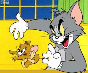 The Tom cat capture Jerry the mouse puzzle